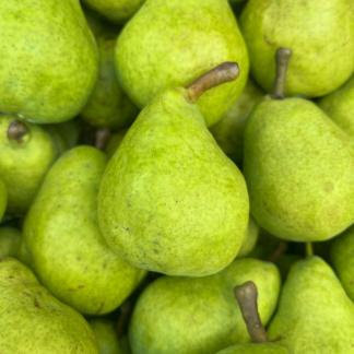 Green Pears (Nashpati)