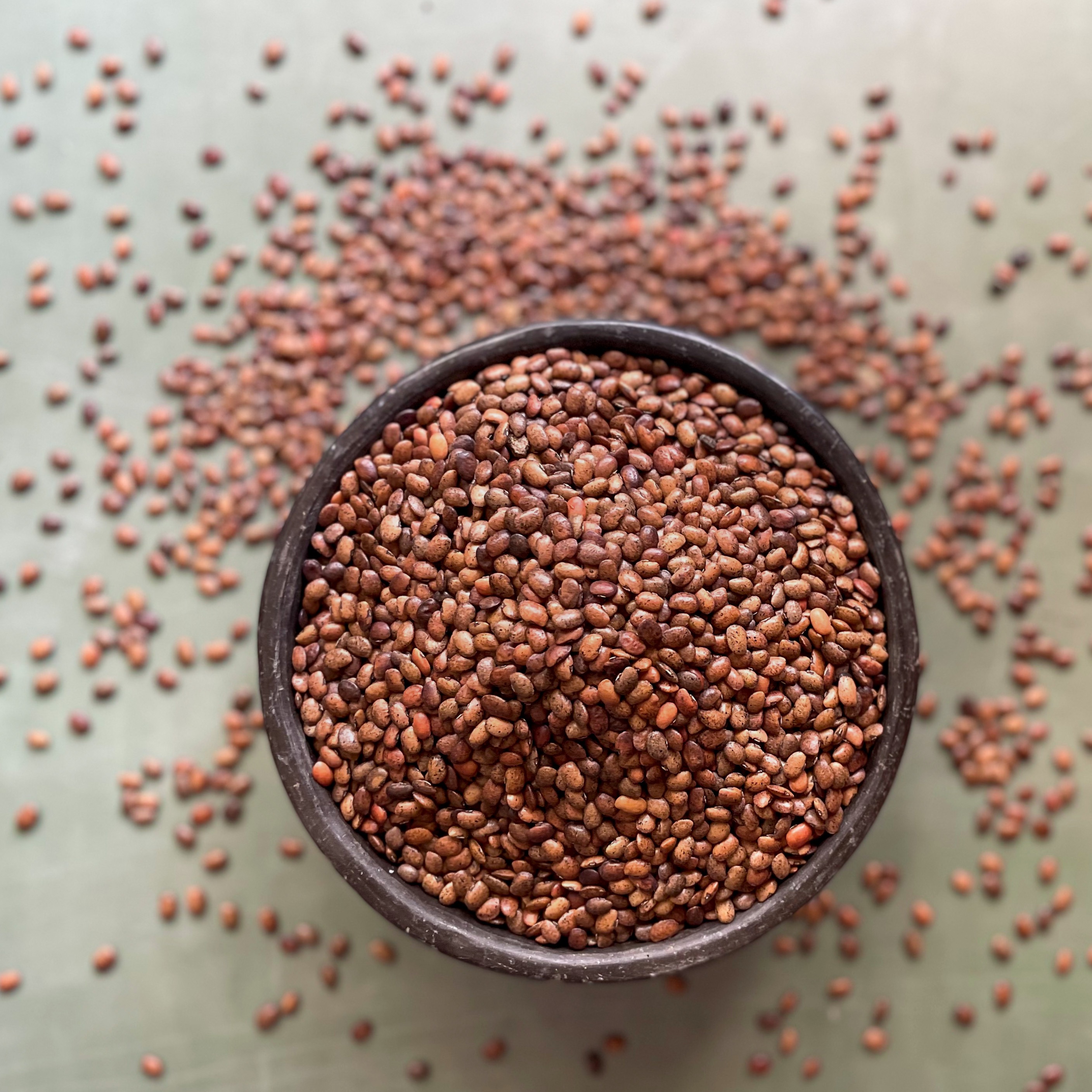 Organic Kulath Horsegram - 1 KG | Tons Valley Shop