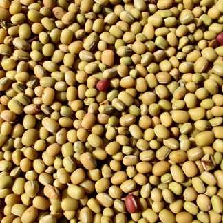 Organic Dhoulash (Moth/Matki/Turkish Gram) - 1 KG